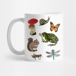 Forrest Creatures Cute Woodland Animals Nature Hiking Frog Squirrel Mushroom Butterfly Dragonfly Cricket Snail Mug